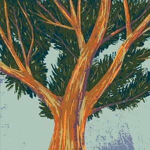 Meet your Posher, Angelina